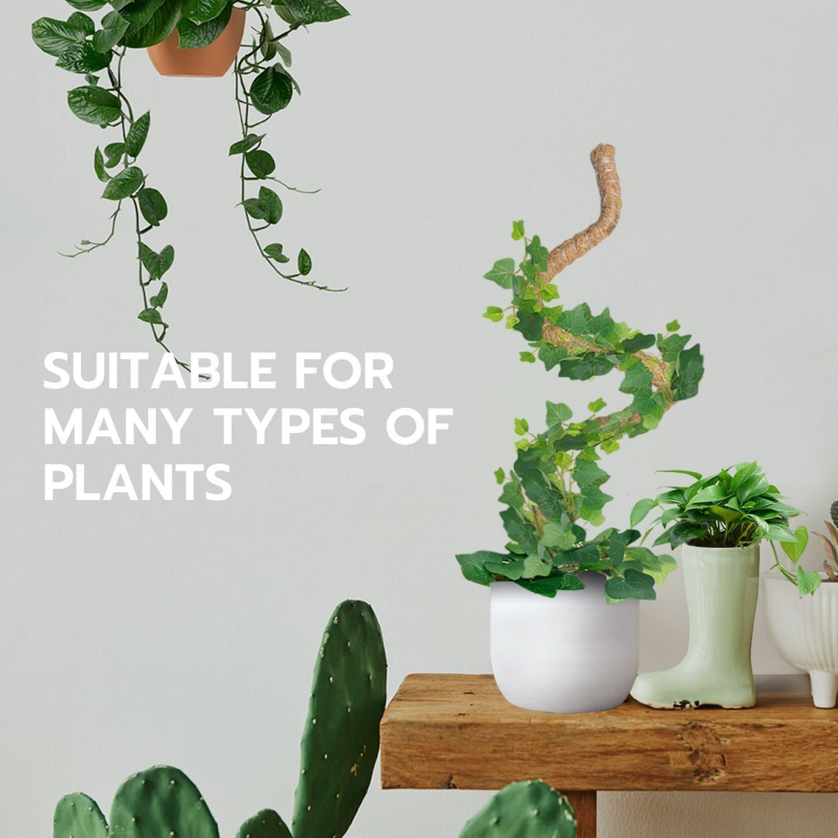 Tuteur Plante Grimpante Coco sur Piquet de Plante 120cm, Support Tuteur de Coco Largeur de 7mm Pliable Poteau de Croissance de Grimpantes - 9