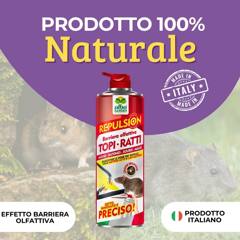 Disabituante Topi Ratti Spray Gas Albagarden - Repellente per Topi Effetto Immediato, Dissuasore per Ratti - per Interno ed Esterno - Spray x 600 ml - 2