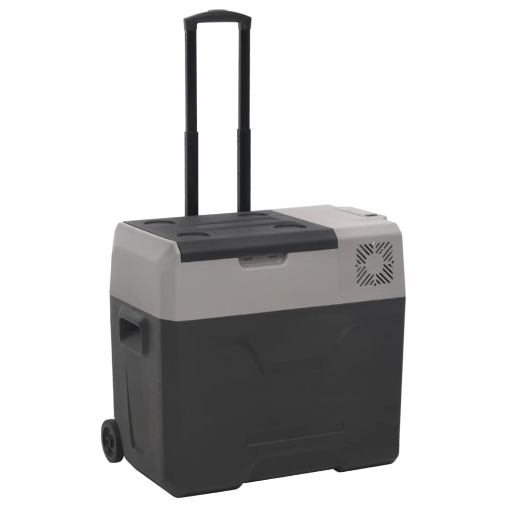 Nevera con rueda y asa polipropileno negro y gris 30 l