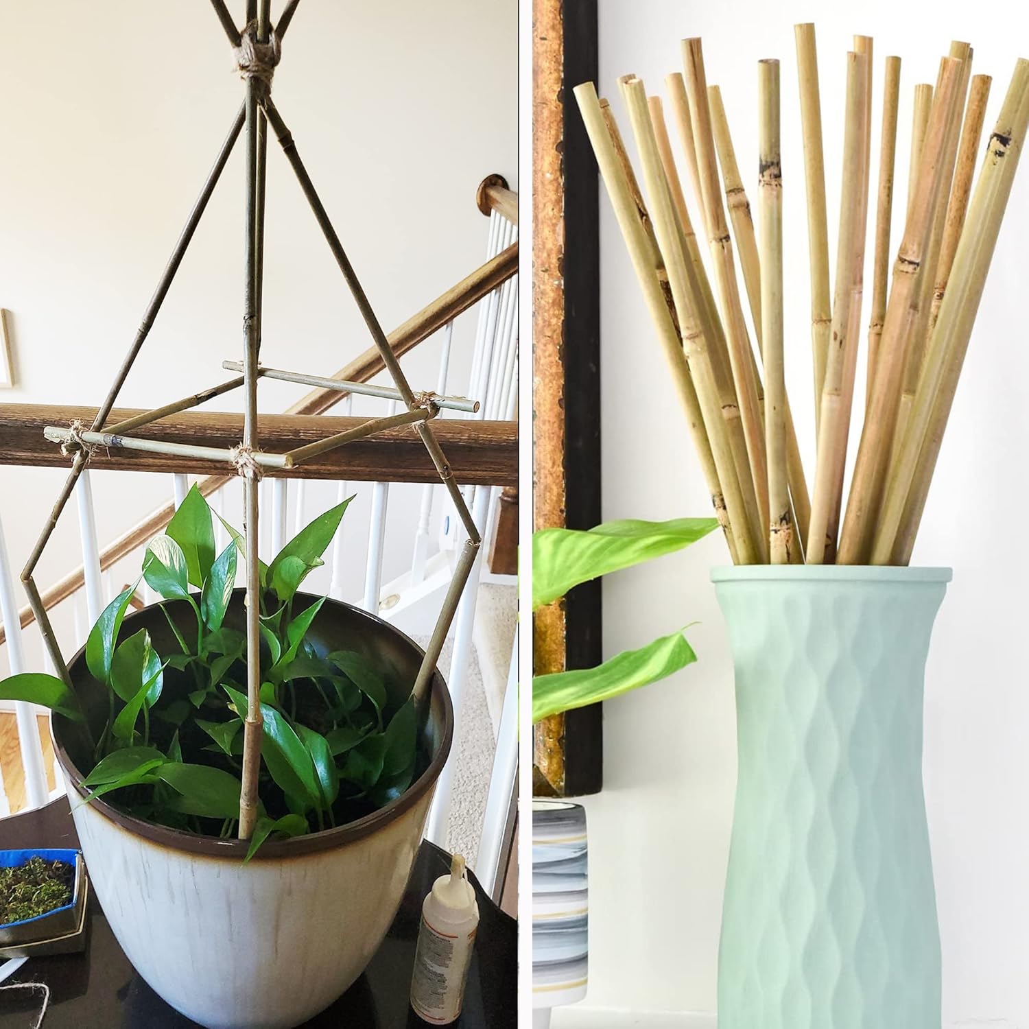 Lot De 30 Tuteurs En Bambou 150 Cm - Piquets Naturels Écologiques Pour Plantes, Légumes Et Arbres