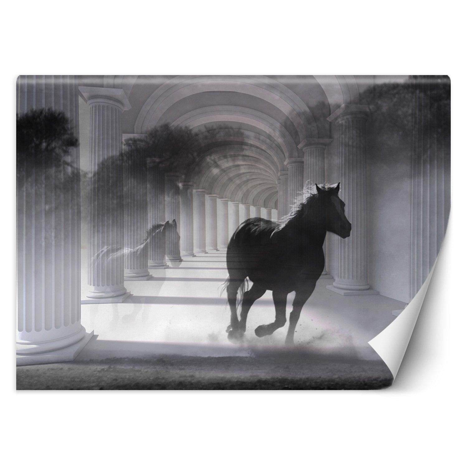 Fototapeta, Tunel biegnący koń efekt 3D 300x210