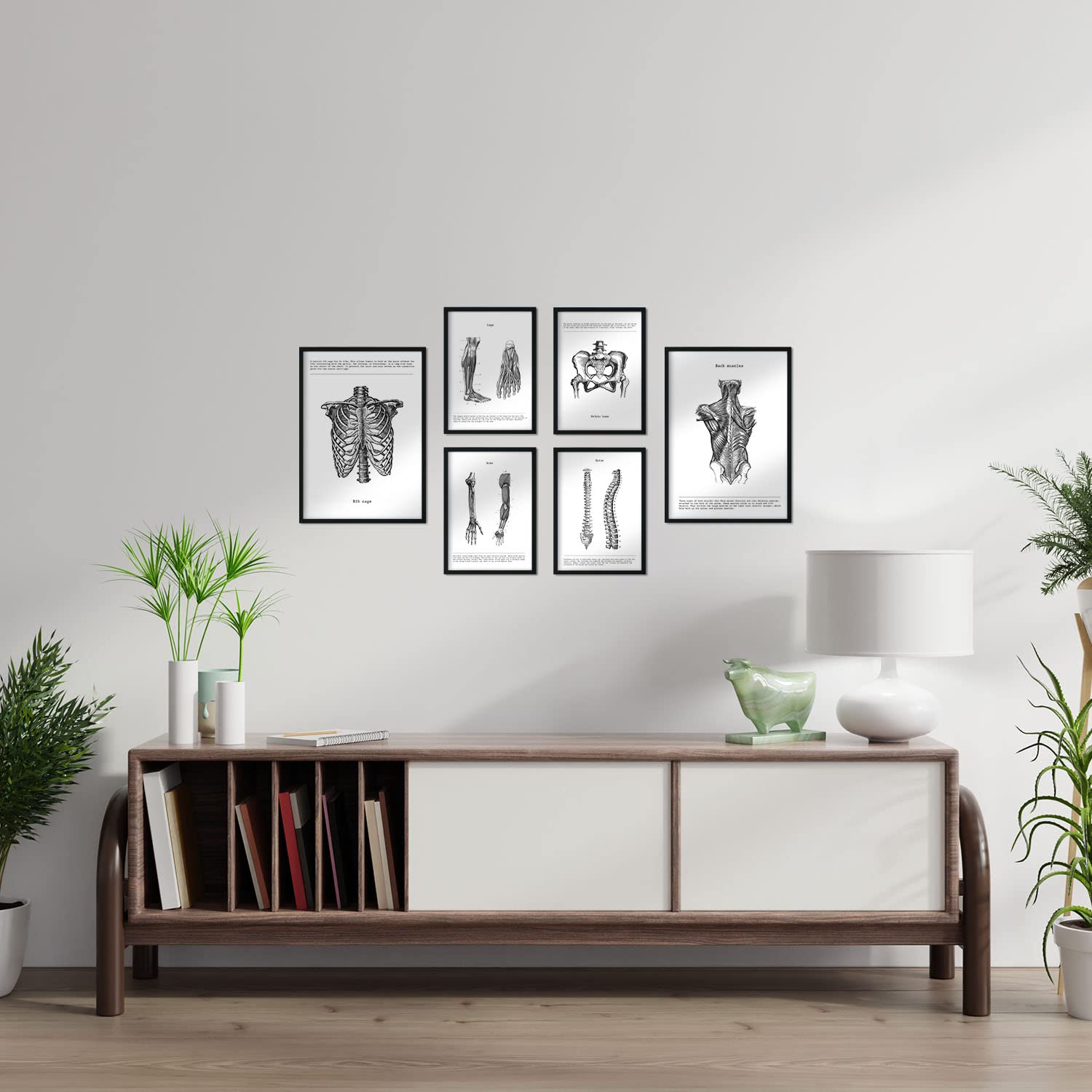 Set de 6 posters de anatomia. coleccion de láminas con estetica collage para la tamanos a3 y a4 con marco blanco