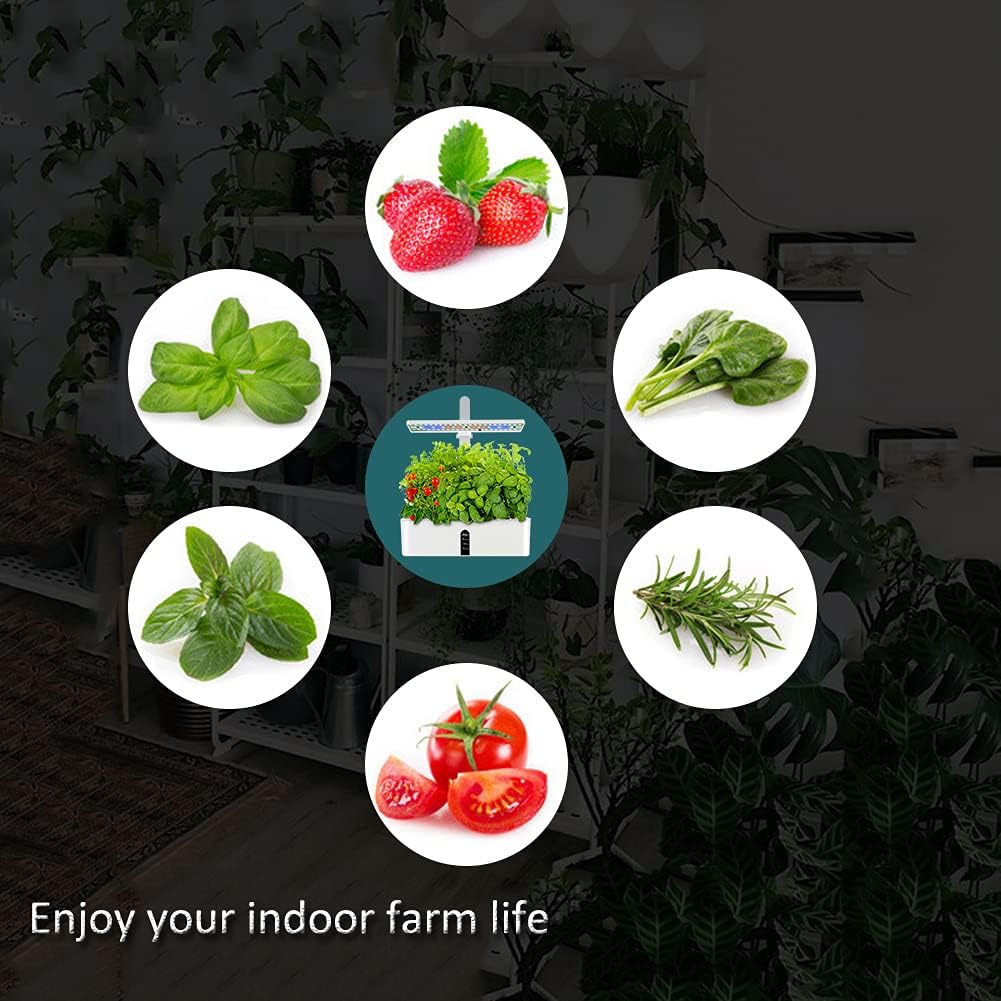 Système de culture hydroponique avec lampe de culture à LED, kit de jardin d'herbes aromatiques d'intérieur, boîte de jardinage avec pompe à eau - 9
