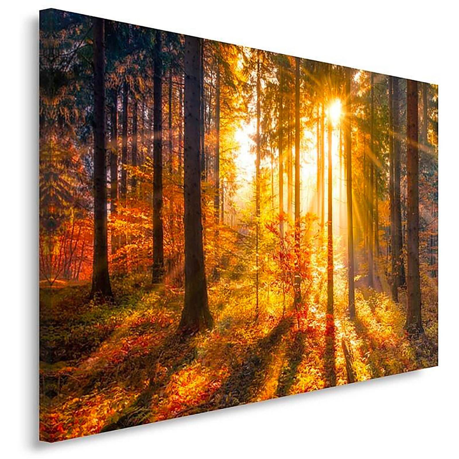 Tableau coucher du soleil de la forêt - 120 x 80 cm - 2