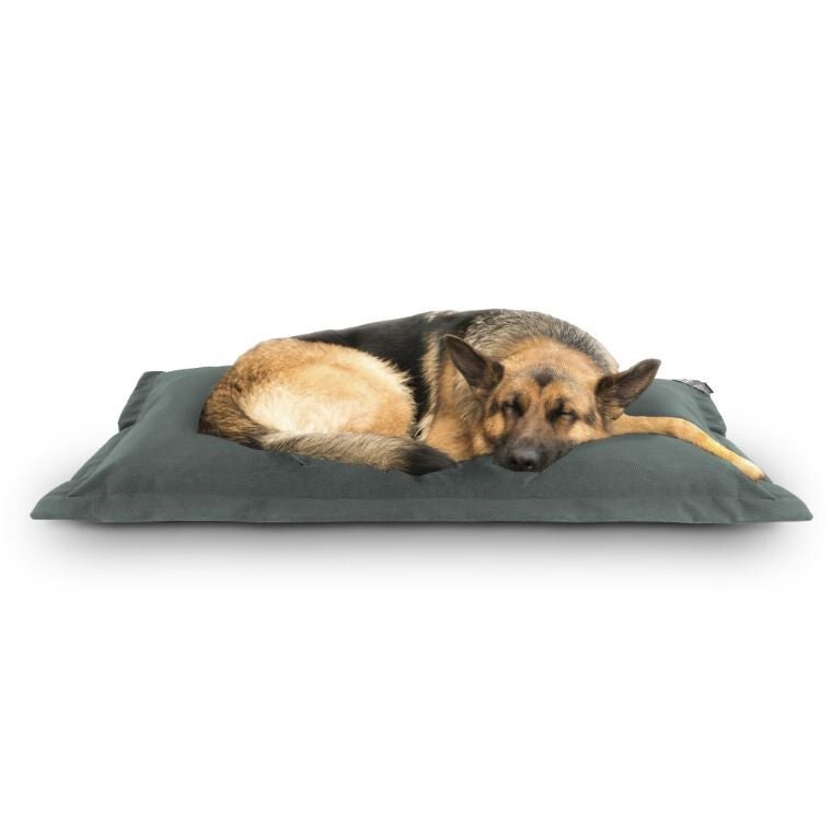 Coussin pour Chiens ou Chats, Aquaclean et Anti-taches Couleur Gris L - 3