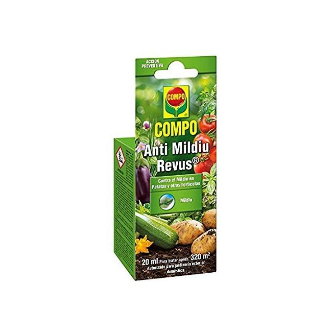 natur saatgut Sandhafer 200 Gramm Saatgut