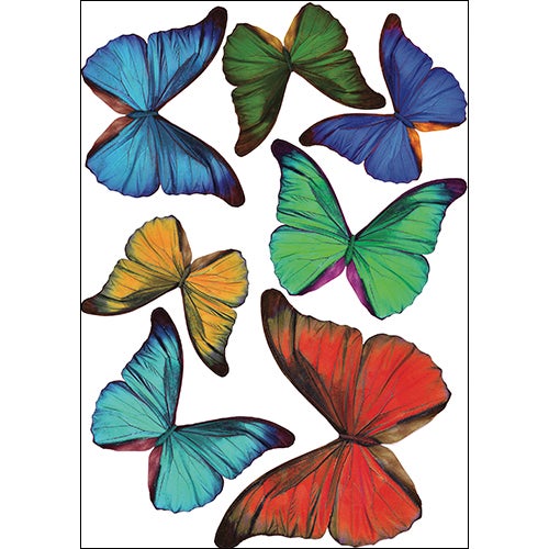 Adhesivo 3D que sale de la pared, mariposas reales de múltiples costos, x7, 21 cm x 29.7 cm - 2