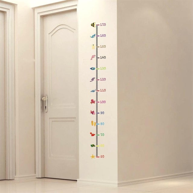 Minerva Righello Per Lavis 50 Cm – Trasparente Con Bordo Metallico Per Taglio Di Precisione, Made In France