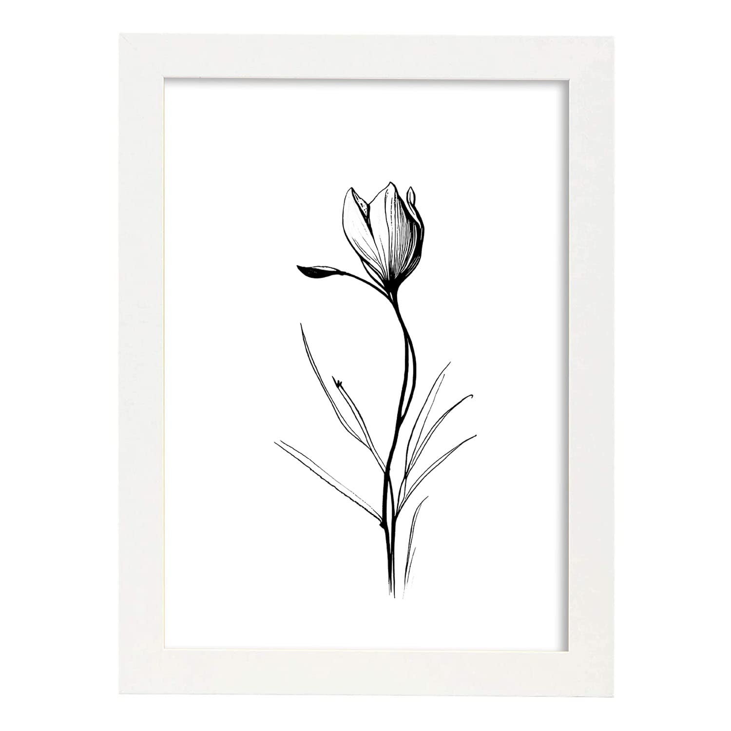 Nacnic Ortensia Di Poster Botanico Di Piante Di Fiori In Bianco E Nero Linea Nordica Stampe Per Camera Dei Bambini Modello 1 A4 Con Cornici Bianche 87696715