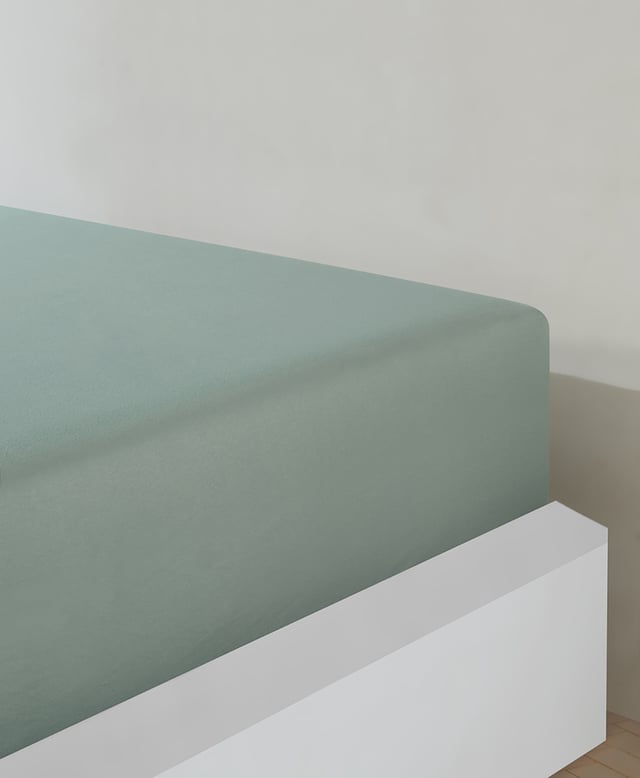 Drap housse jersey 100% coton céladon