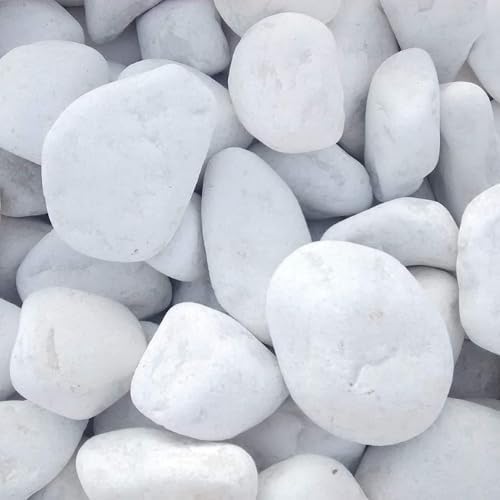 Canto rodado Blanco, Piedra Decorativa Jardín Blanca 20 - 40 mm 25 kg