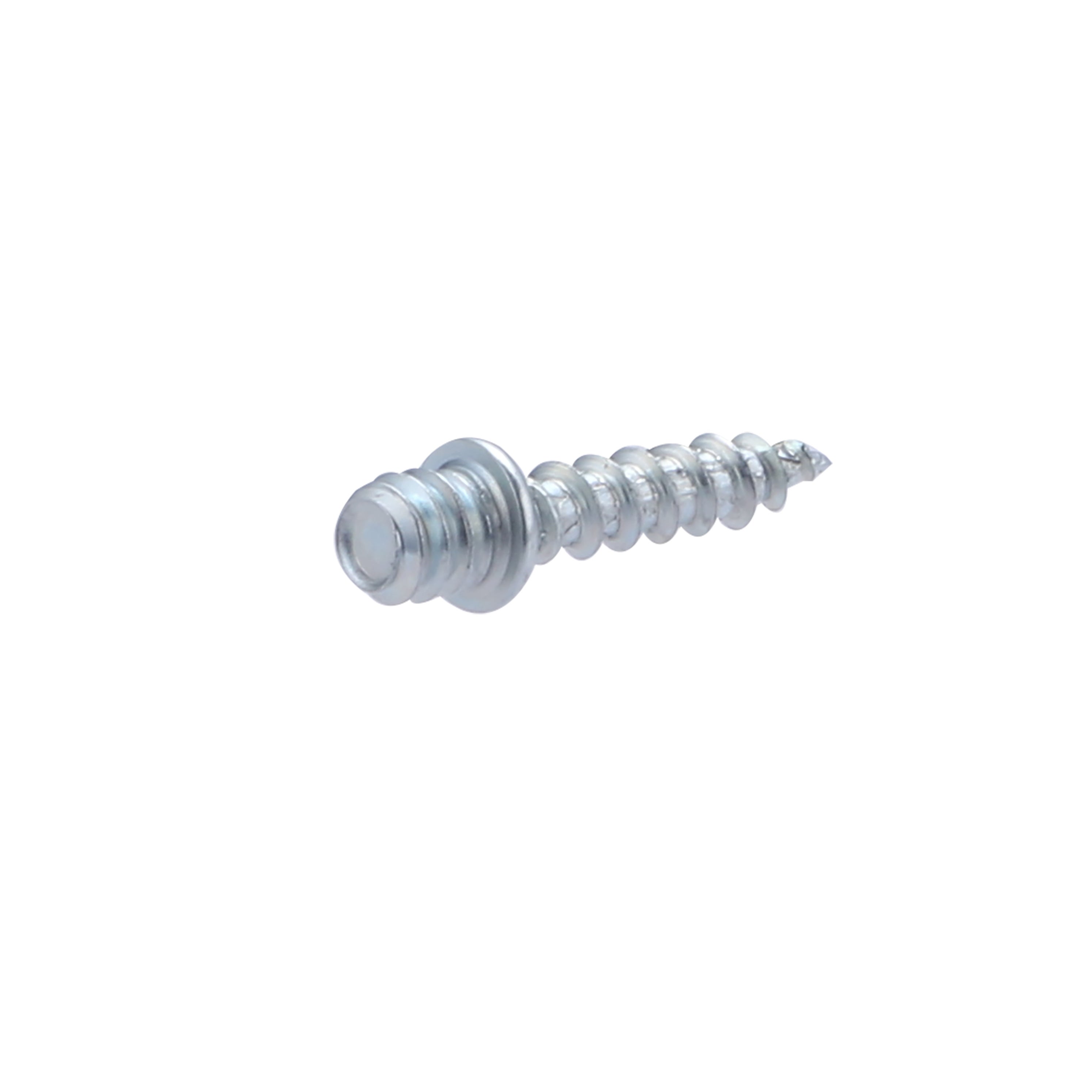 25 PATTES A VIS 7 X 30 - 2
