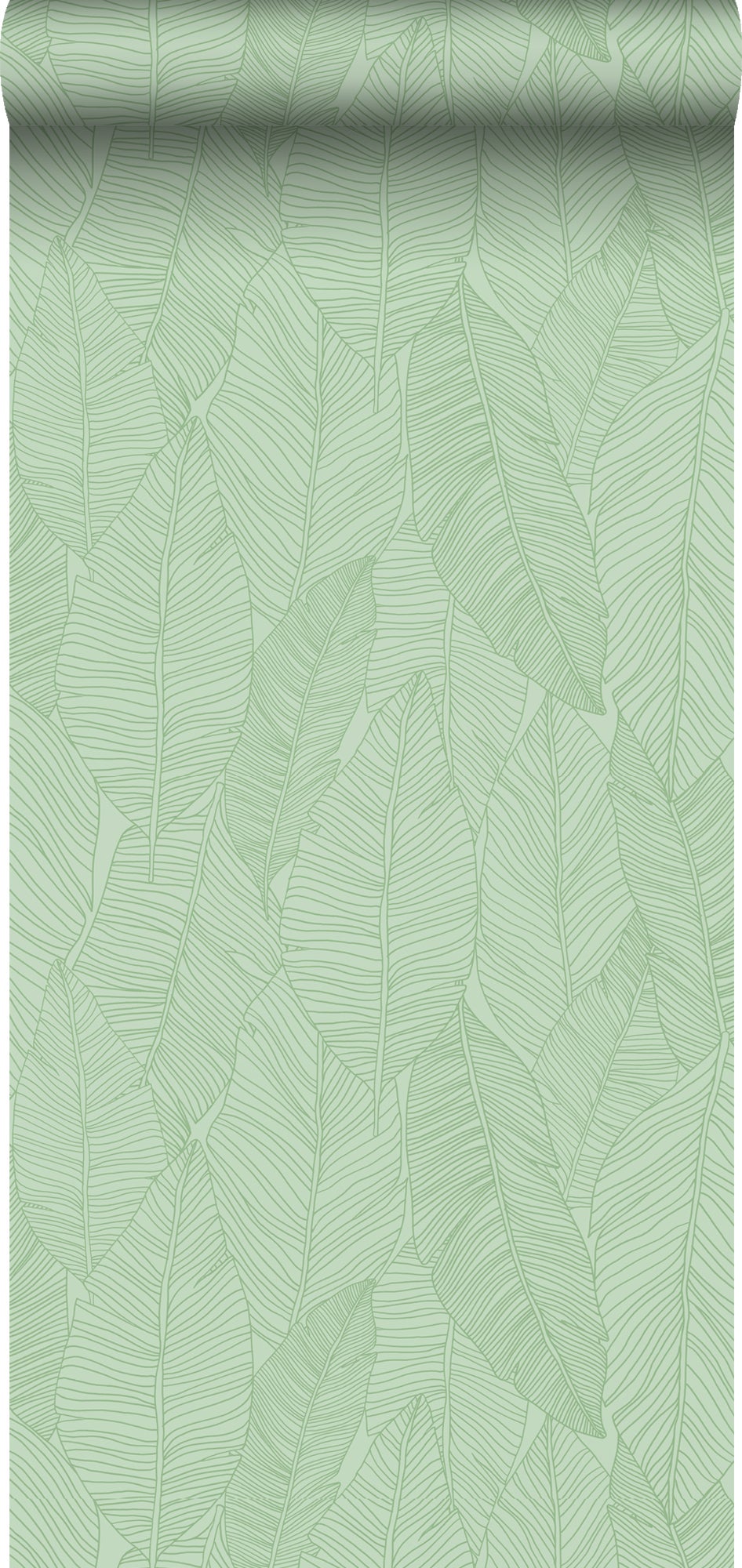 Tapeta narysowane liście zielonym - 50 x 900 cm - ESTAHOME