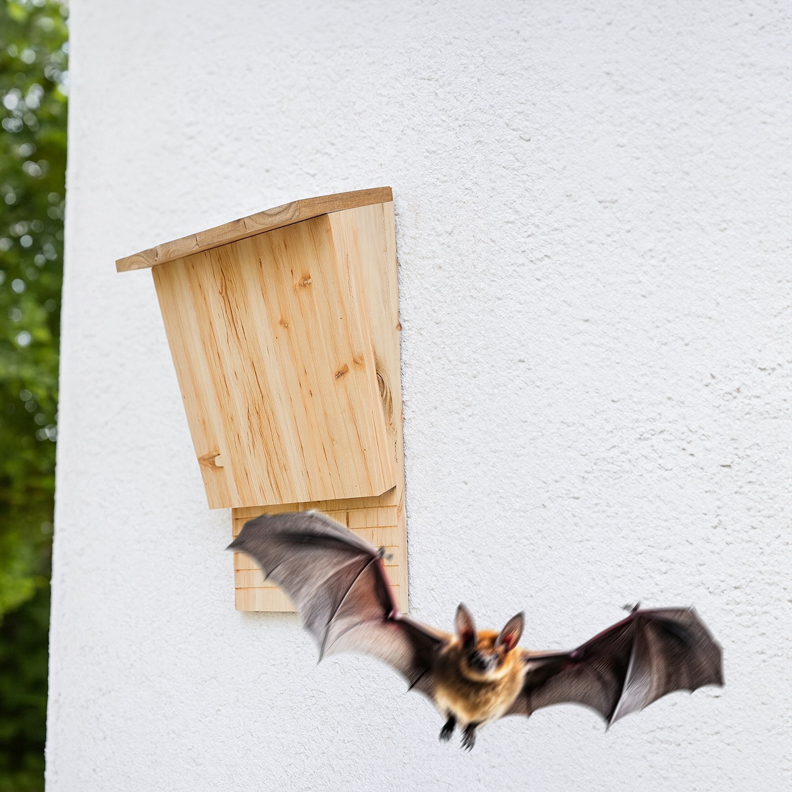 Nichoir à Chauves-Souris En Bois Naturel – Maison Extérieure, Résistante Aux Intempéries, 1 Ou 2 Étages – Pour Jardin, Balcon (24x8.3x9.3 Cm)