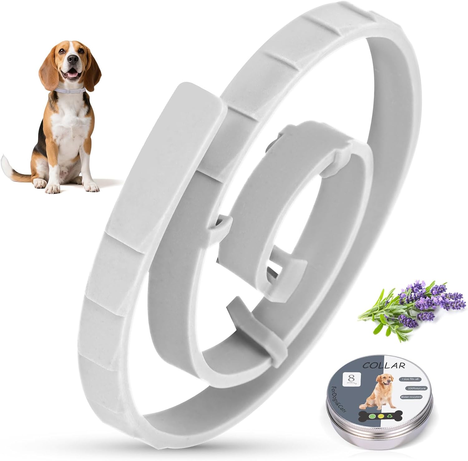 Collier Anti Puces Et Tiques Pour Chien – Protection 8 Mois, étanche, Réglable, Naturel, Réduit Risque Leishmaniose, Taille Unique