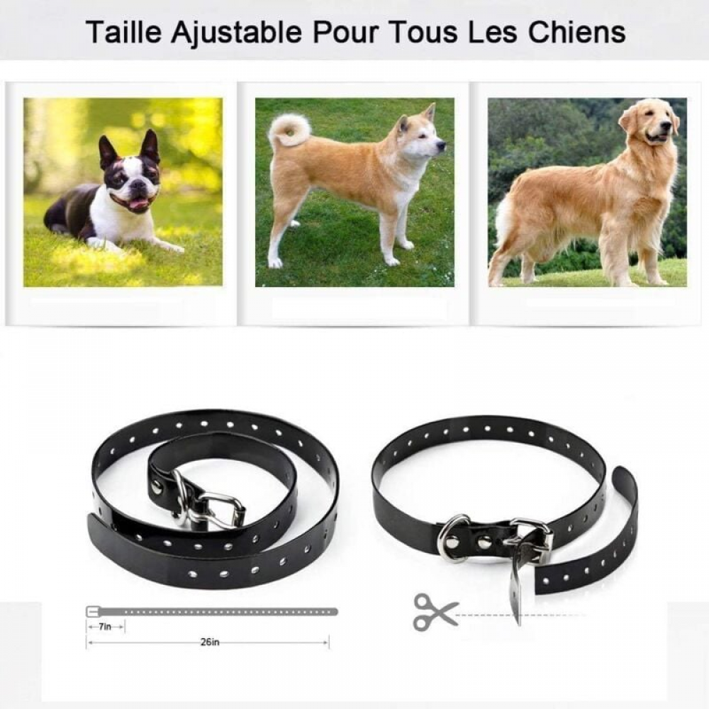 Collar para perros, alcance de 800 m, resistente al agua, control remoto, 99 niveles de vibración, luz LED, recargable (3 receptores). - 3