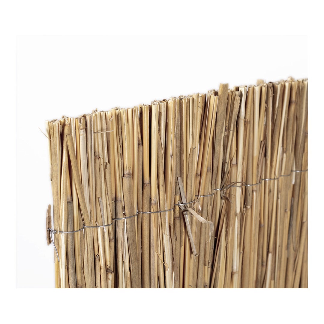 CAÑIZO MULTIVARILLA MARCA CATRAL - 3