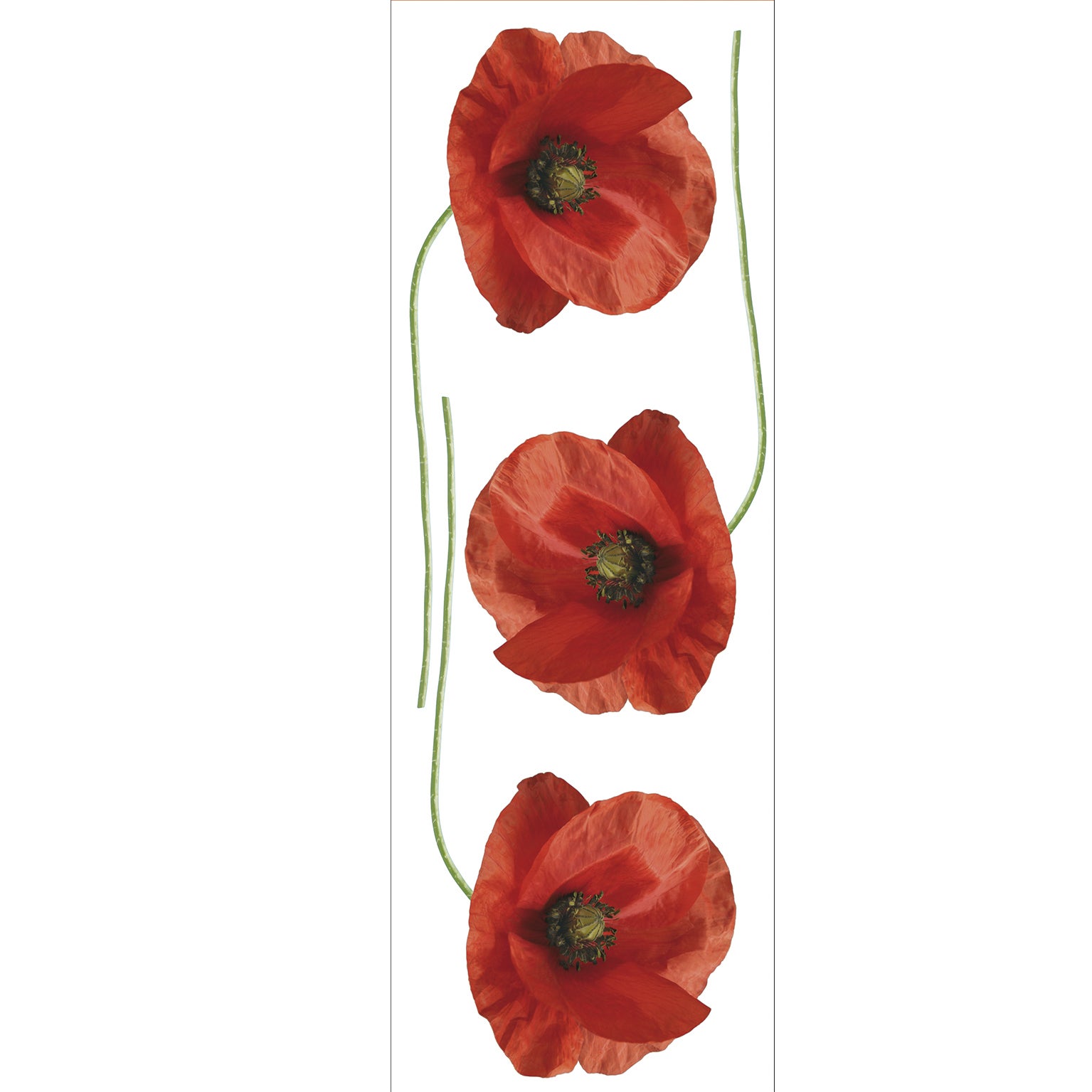 Sticker autocollant décoratif, photo de 3 fleurs coquelicots rouges, 68 cm X 24 cm - 2