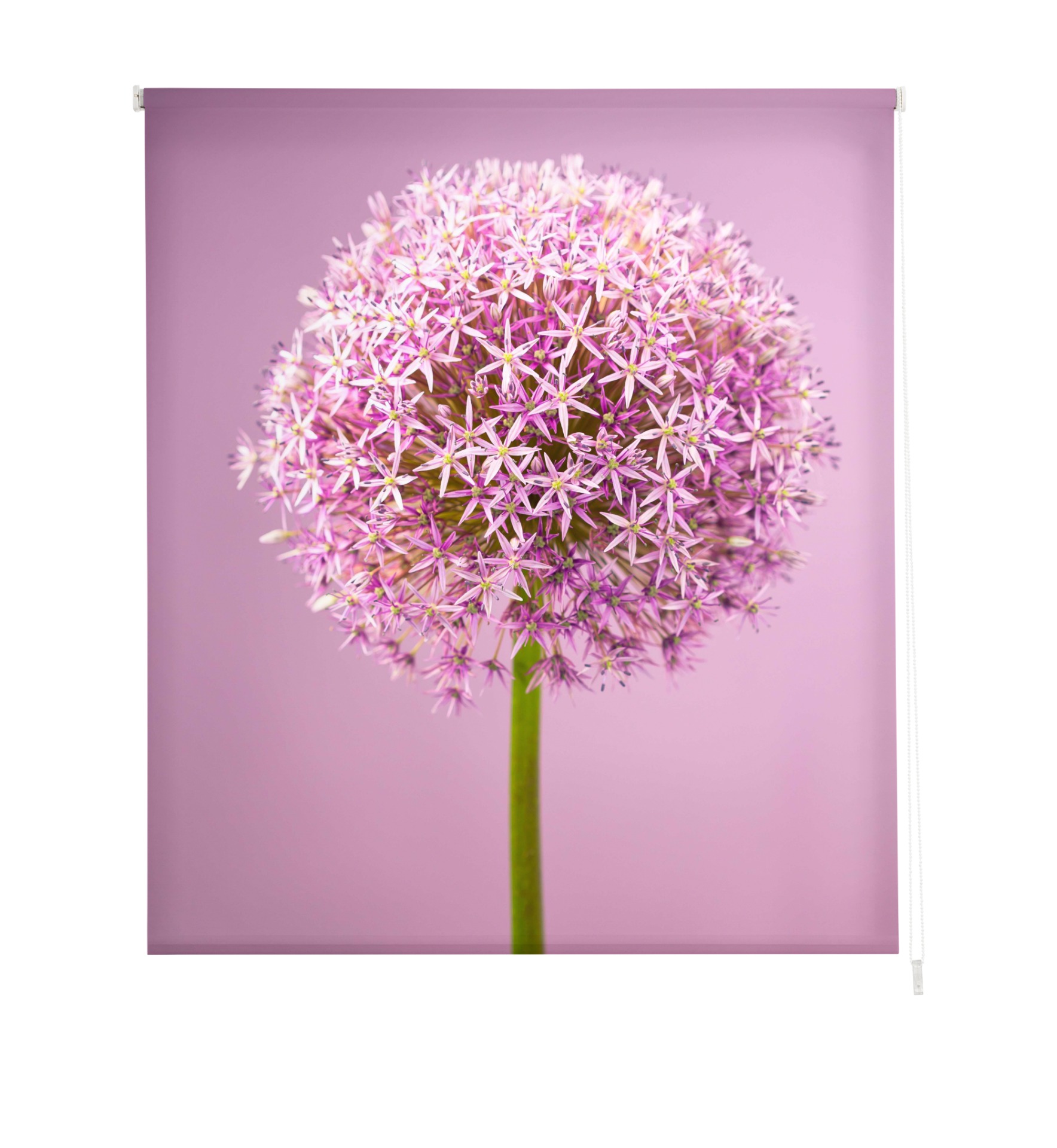 Estoralis | estores personalizados flores y plantas | 150 x 255 cm (ancho por alto) tamaño de tela 147 x 250 cm | modelo f-834 color unico
