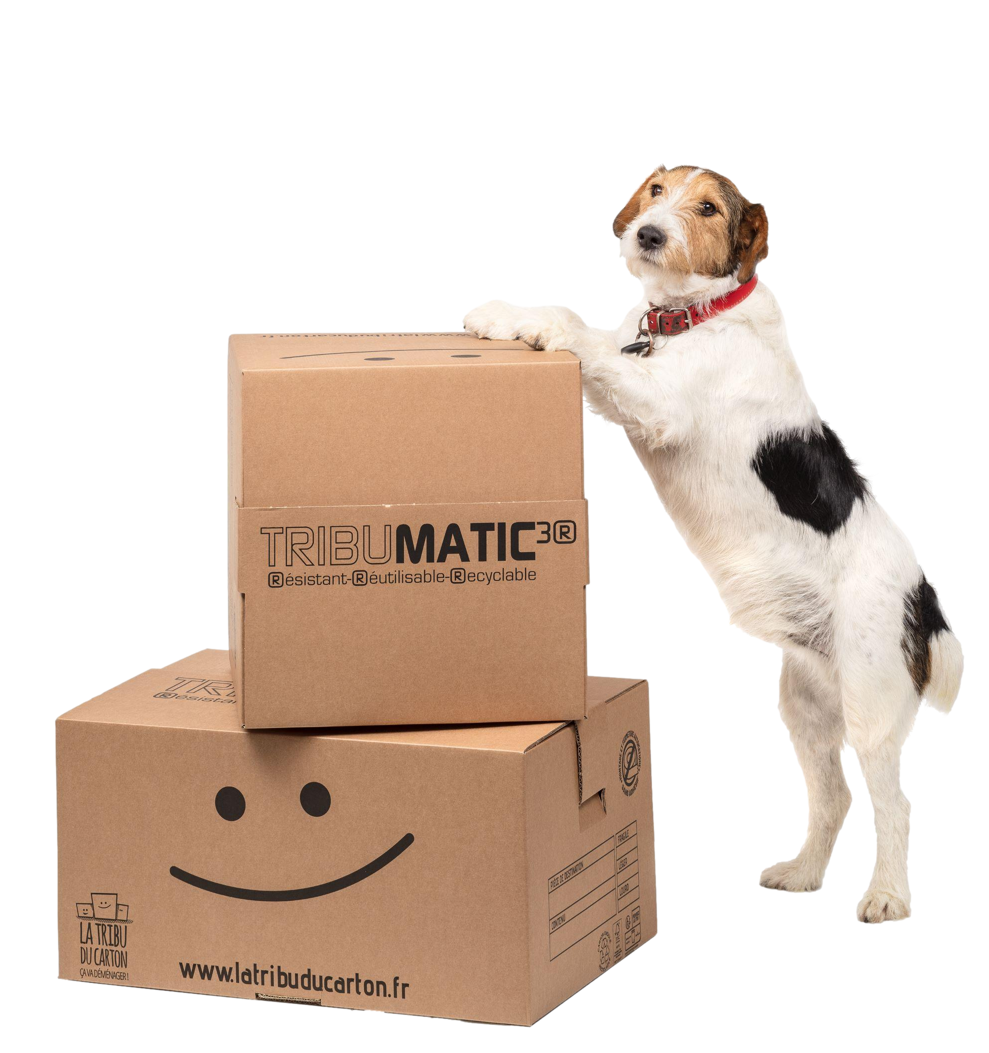 Carton automatique Tribumatic Grand volume - 3