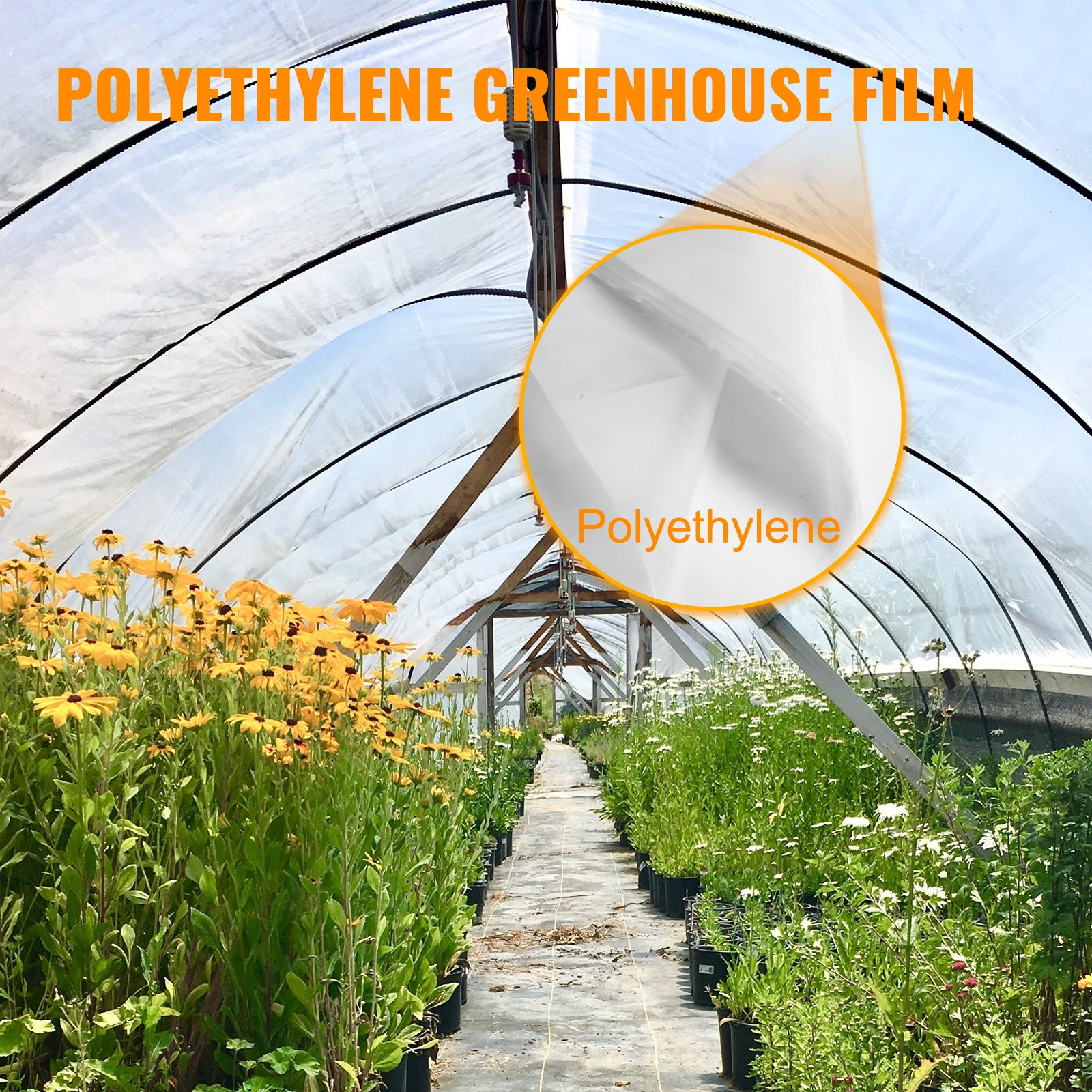 Film à Effet de Serre 7.3 x 15.2 m Film Polyéthylène VEVOR pour Serre Bache Transparente pour Projets Industriels, Agriculture, Aménagement Paysager - 2