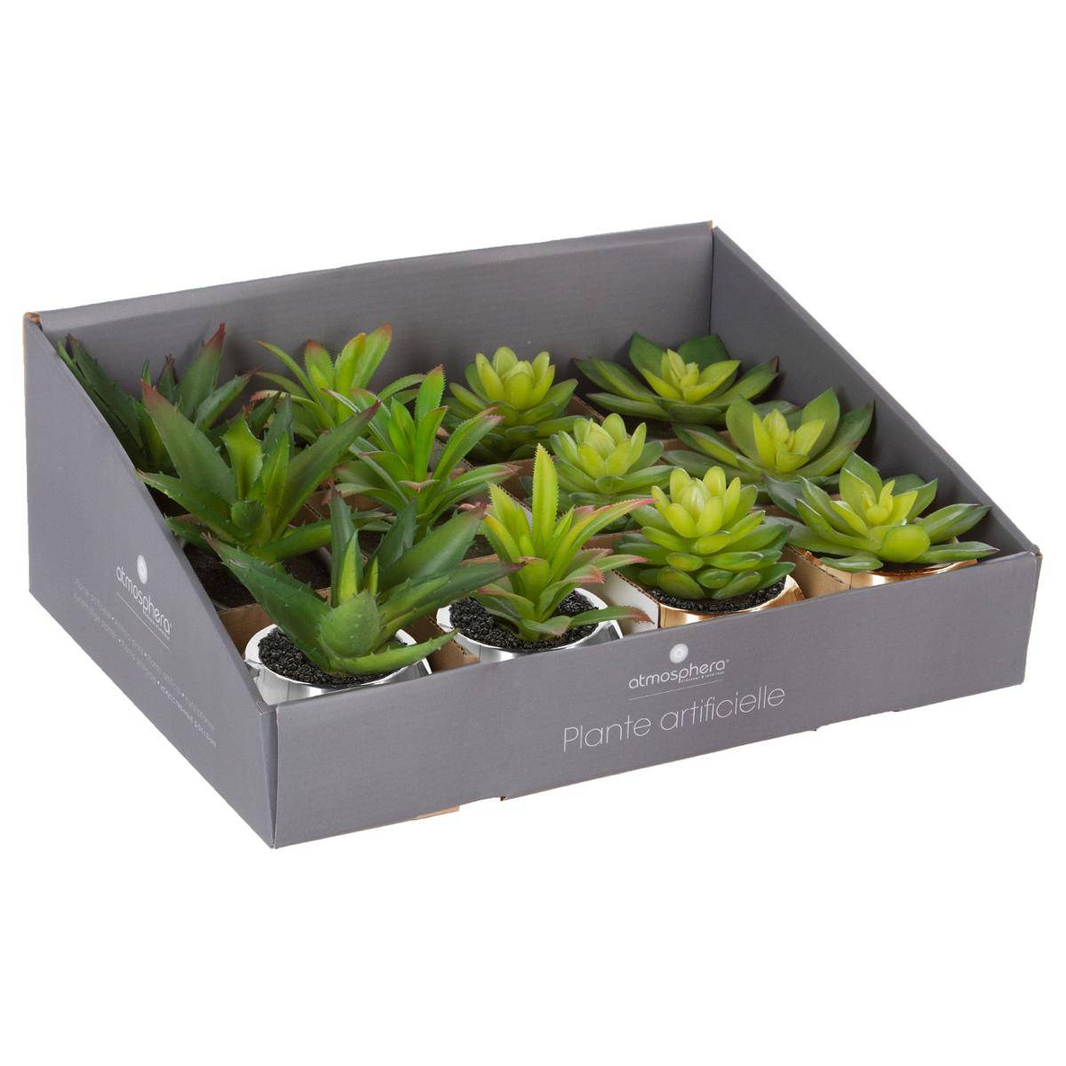 Plante Verte Pot Céramique H.15 Multicolore - Atmosphera Créateur d'intérieur - 6