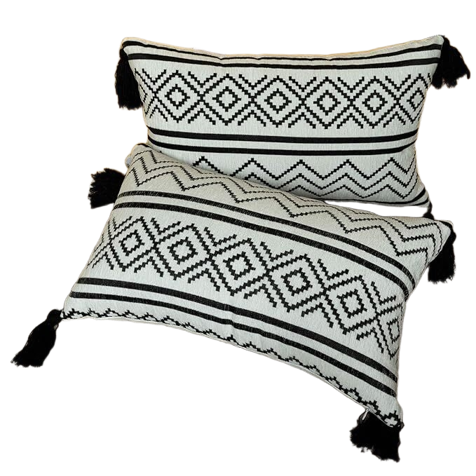 Alishomtll Set Di 2 Federe Per Cuscino, 50 X 50 Cm, Morbide E