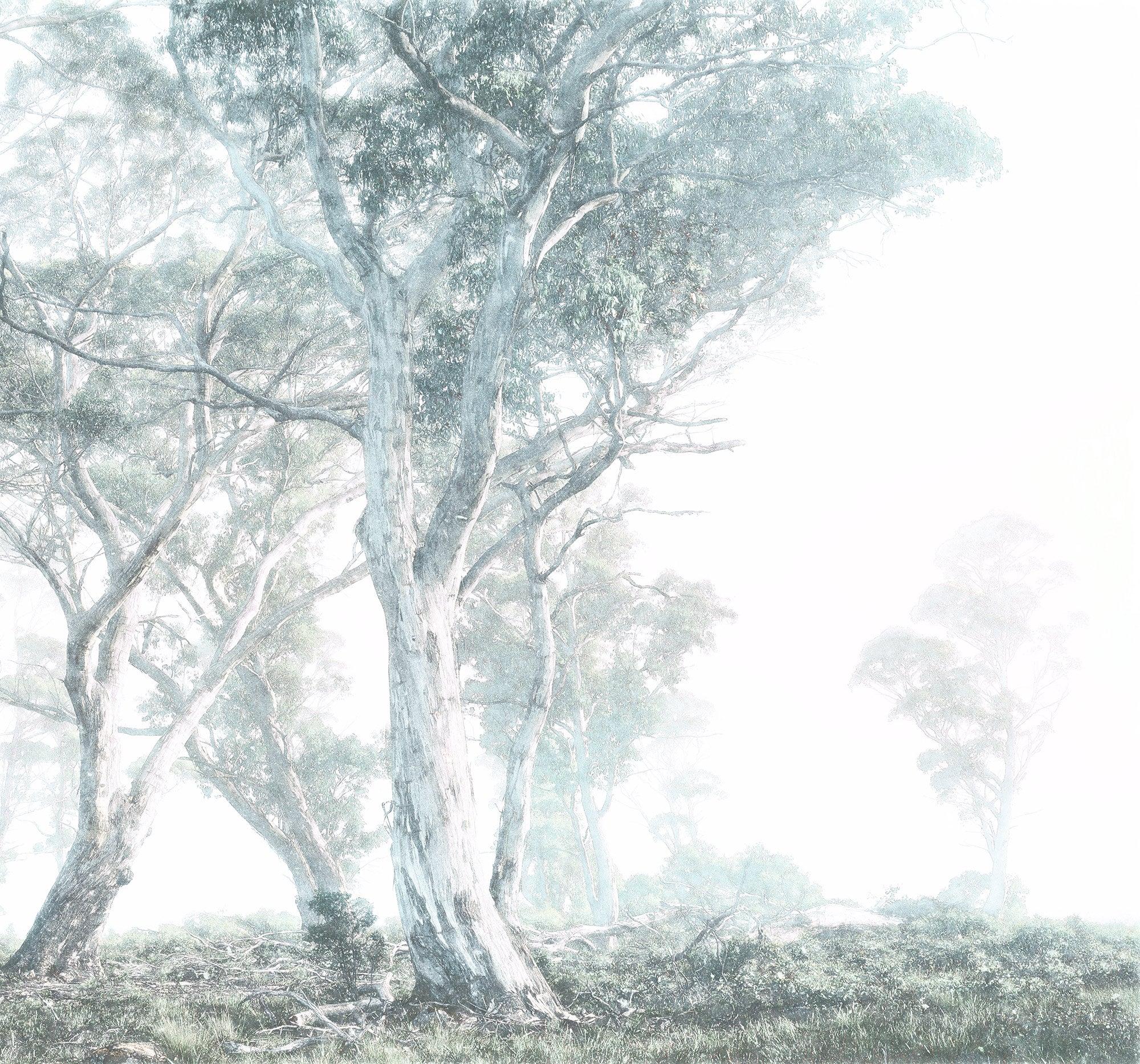 Fotomurale in tessuto non tessuto di Komar - Magic Trees - Dimensione: 300 x 280 cm - 2