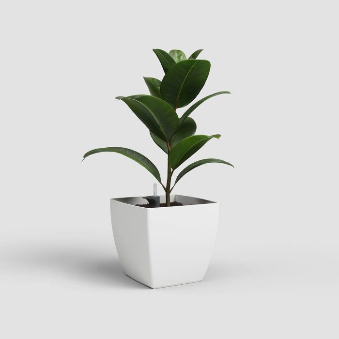Pot de fleur auto arrosant ARTEVASI Siena blanc mat UV 40 x 36 cm - 2