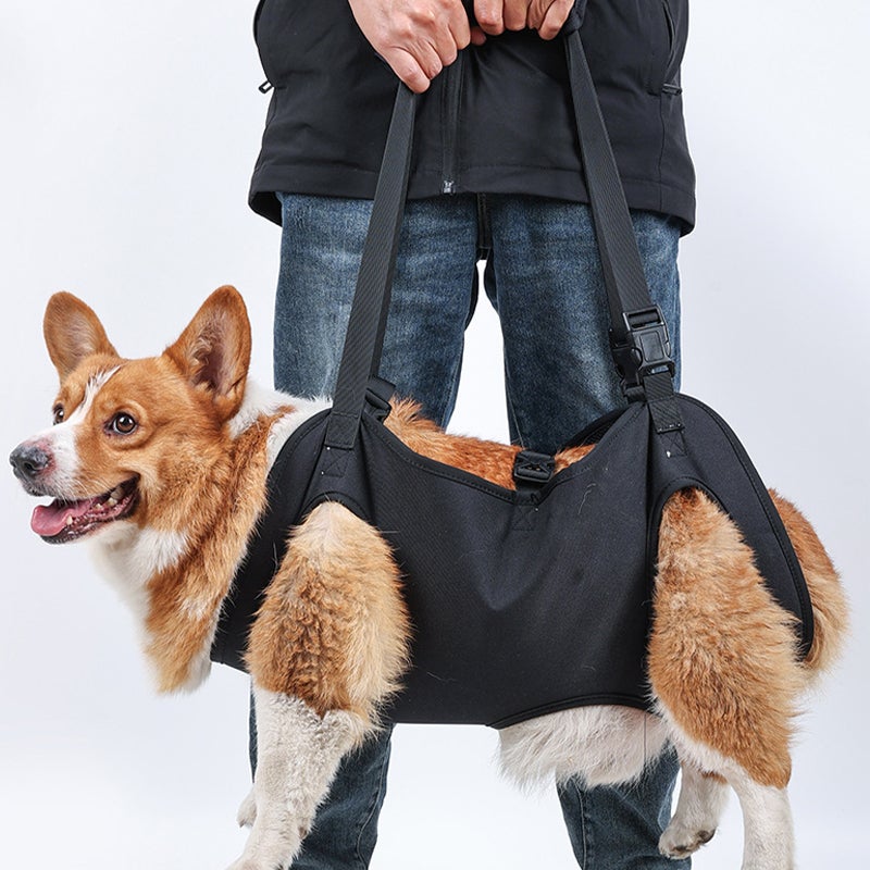 Imbracatura Sollevamento Cani Grandi - Supporto Zampe Posteriori Per Cani Anziani E Disabili - Foto 5