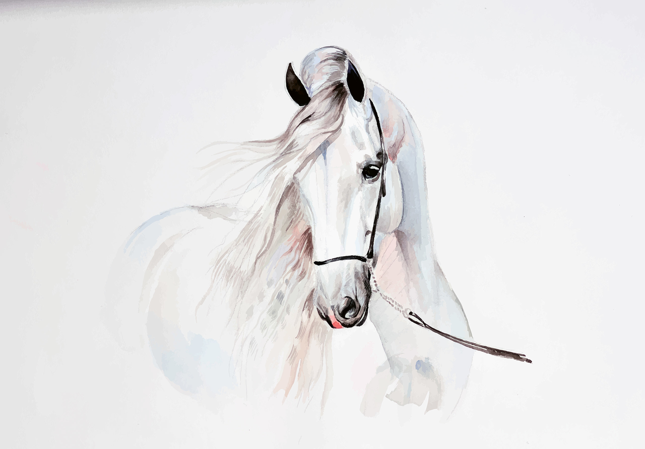 Papel pintado fotografia niños cheval blanc bebé diseñado 416x254 cm - incluye cola - moderno papel no tejido