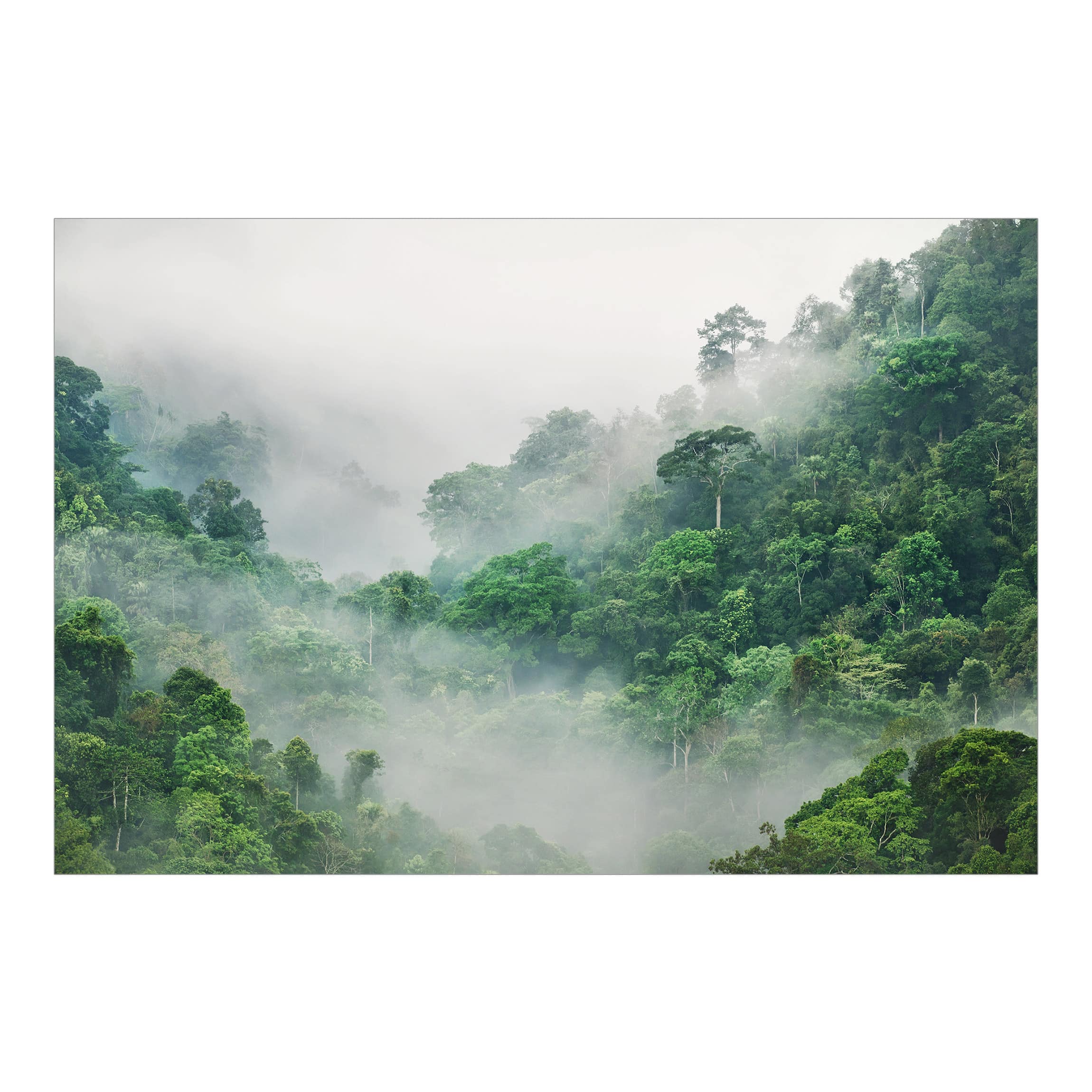 Papel pintado fotomural bosque selva tropical naturaleza 227 - salón dormitorio cocina pasillo - tnt 432 x 290 cm smart