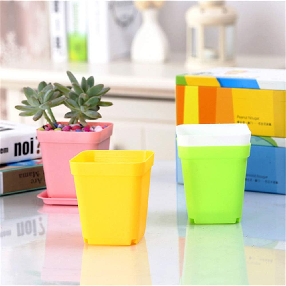 Lot de 24 pots de fleurs carrés en plastique coloré de 7,6 cm (3 pouces), adaptés aux semis, au repiquage et à la plantation. - 3