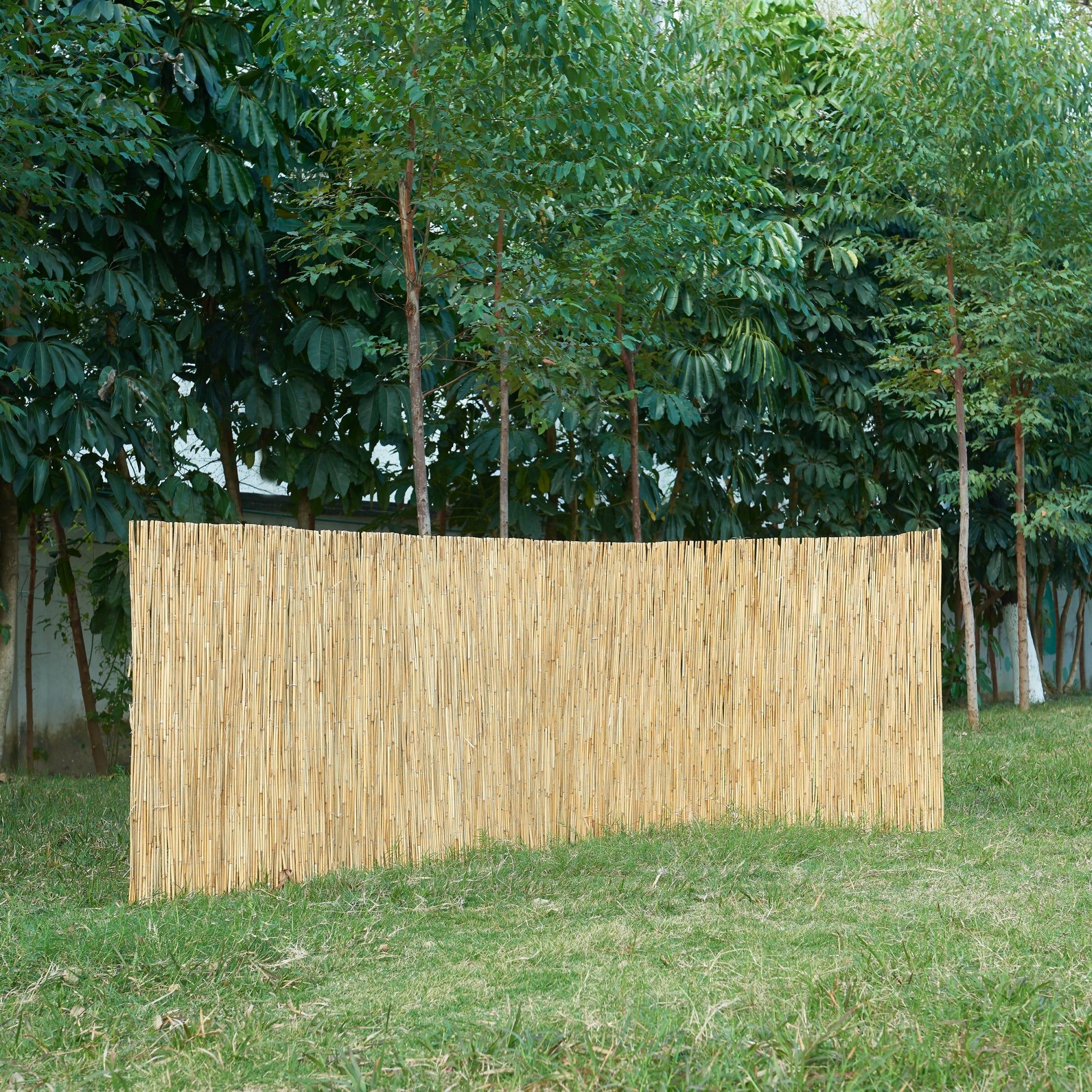 Cañizo Abbateggio para ocultación caña 160x300cm - Natural [casa.pro ...