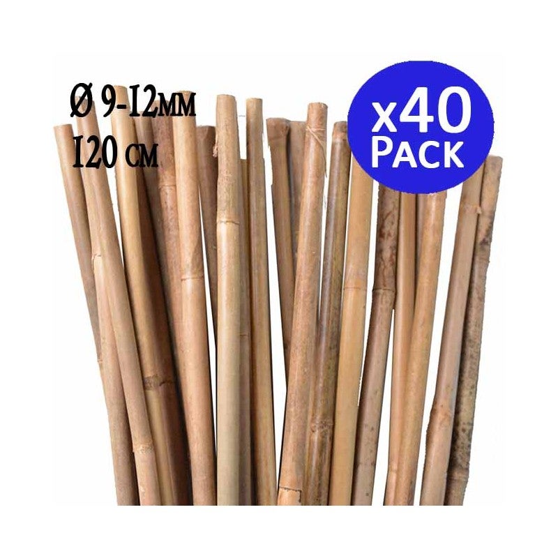 Suinga Set di 25 Tutori in Bambù per Piante 60 cm (5-8 mm