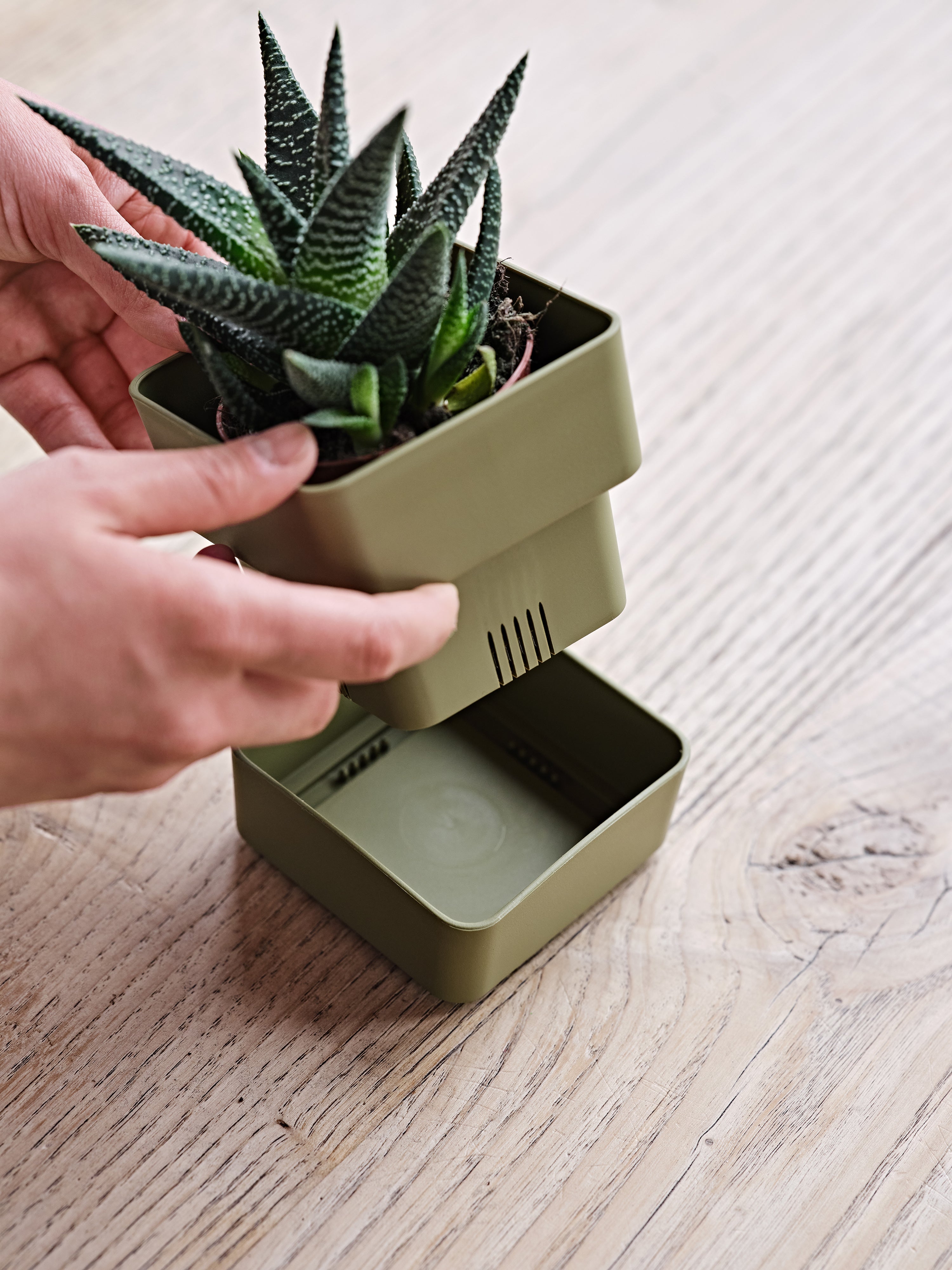 Soucoupe Ronde 40 Cm Vert Olive - Pour Pots De Fleurs, Capacité 4 Litres