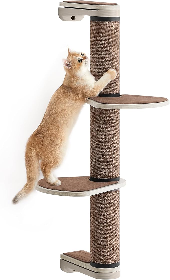 Poteau à Griffer pour Chat, Hauteur 101 cm, Griffoir Mural avec 2 — free download