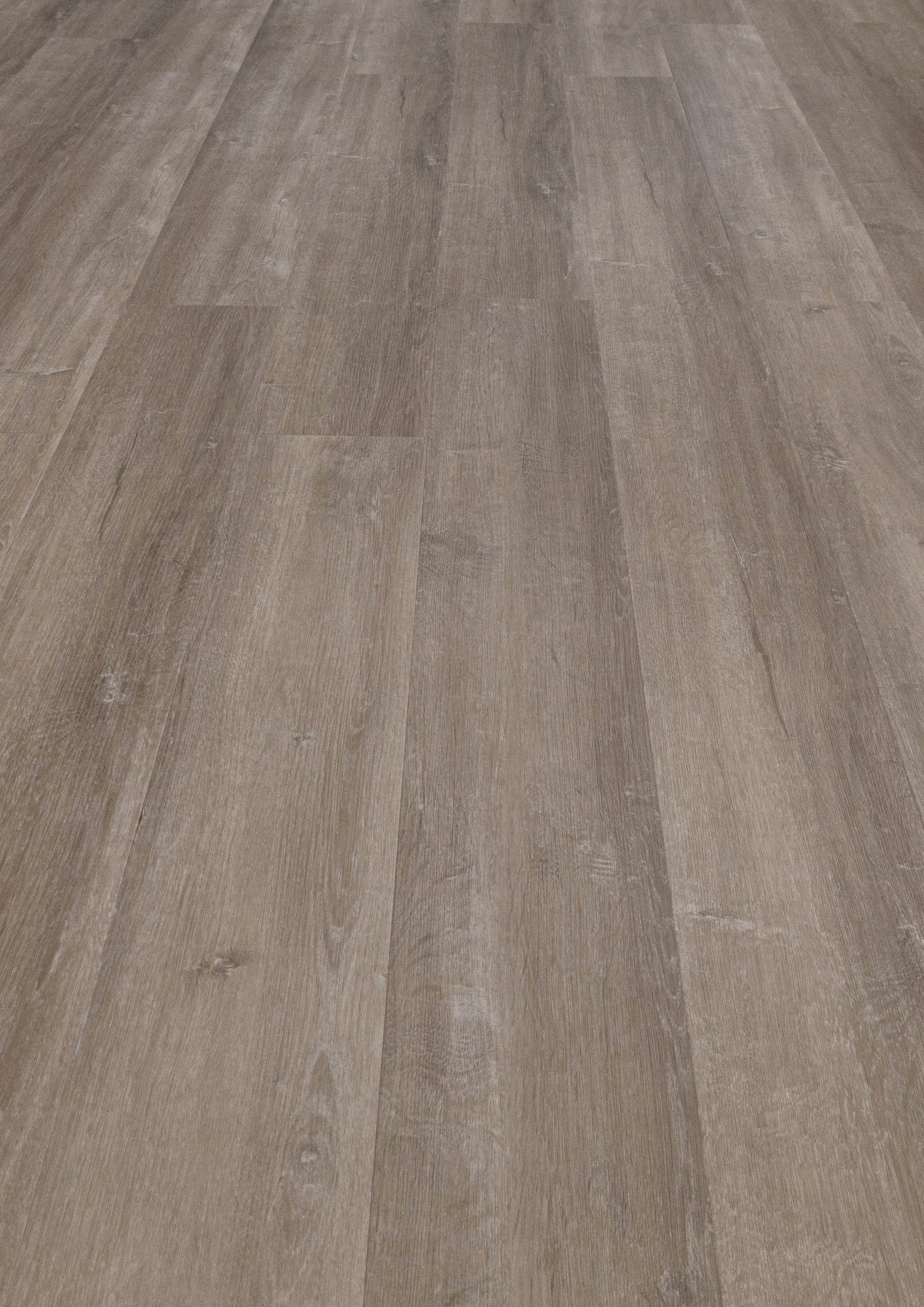 CONTESSE - Lame PVC Clipsable - FIRST OAK GREY - Ep. 5,0 mm - bois ...