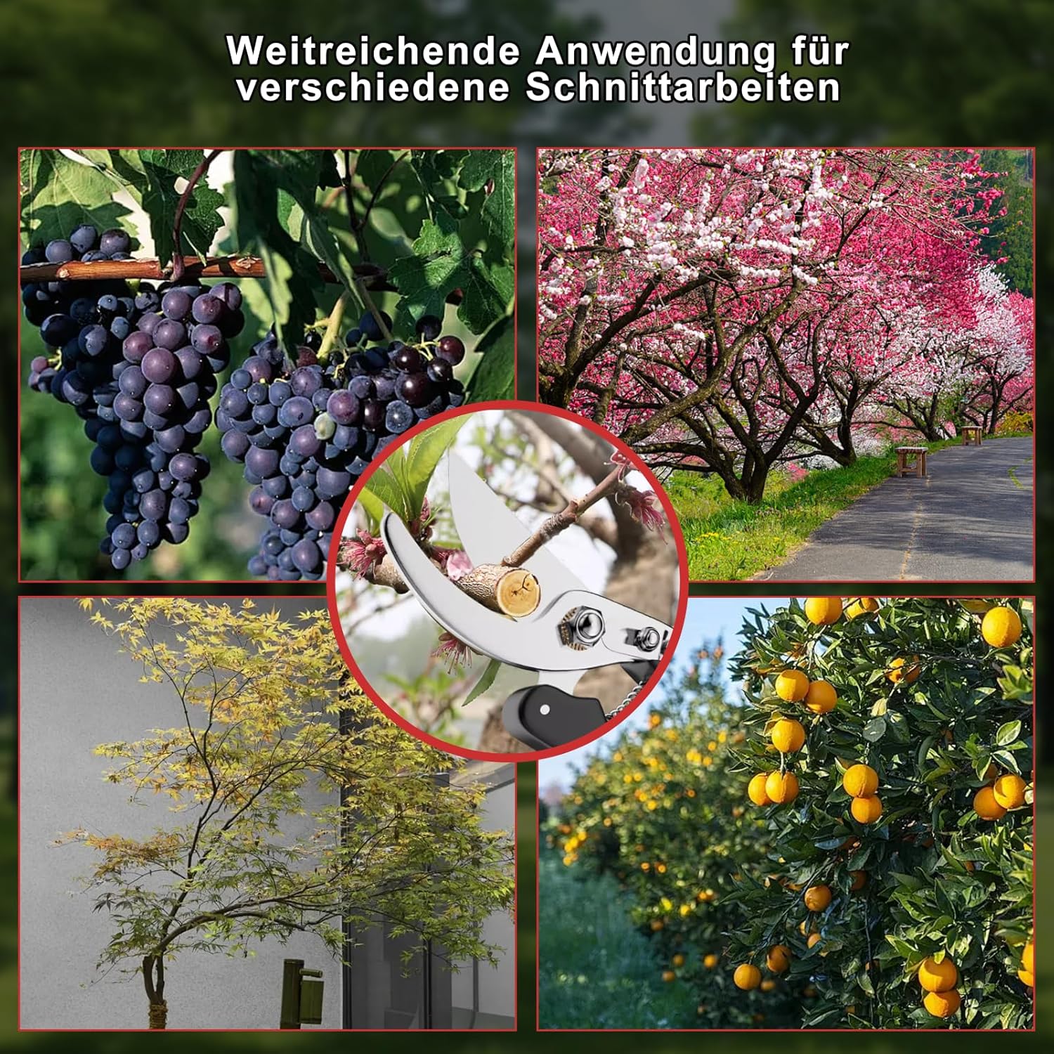 Secateur de Jardin, Sécateur Professionnel Branches, Ciseaux Branche Secateurs Coupe Tronc Tranchant Ciseau Plante Spring Sécateurs - 5