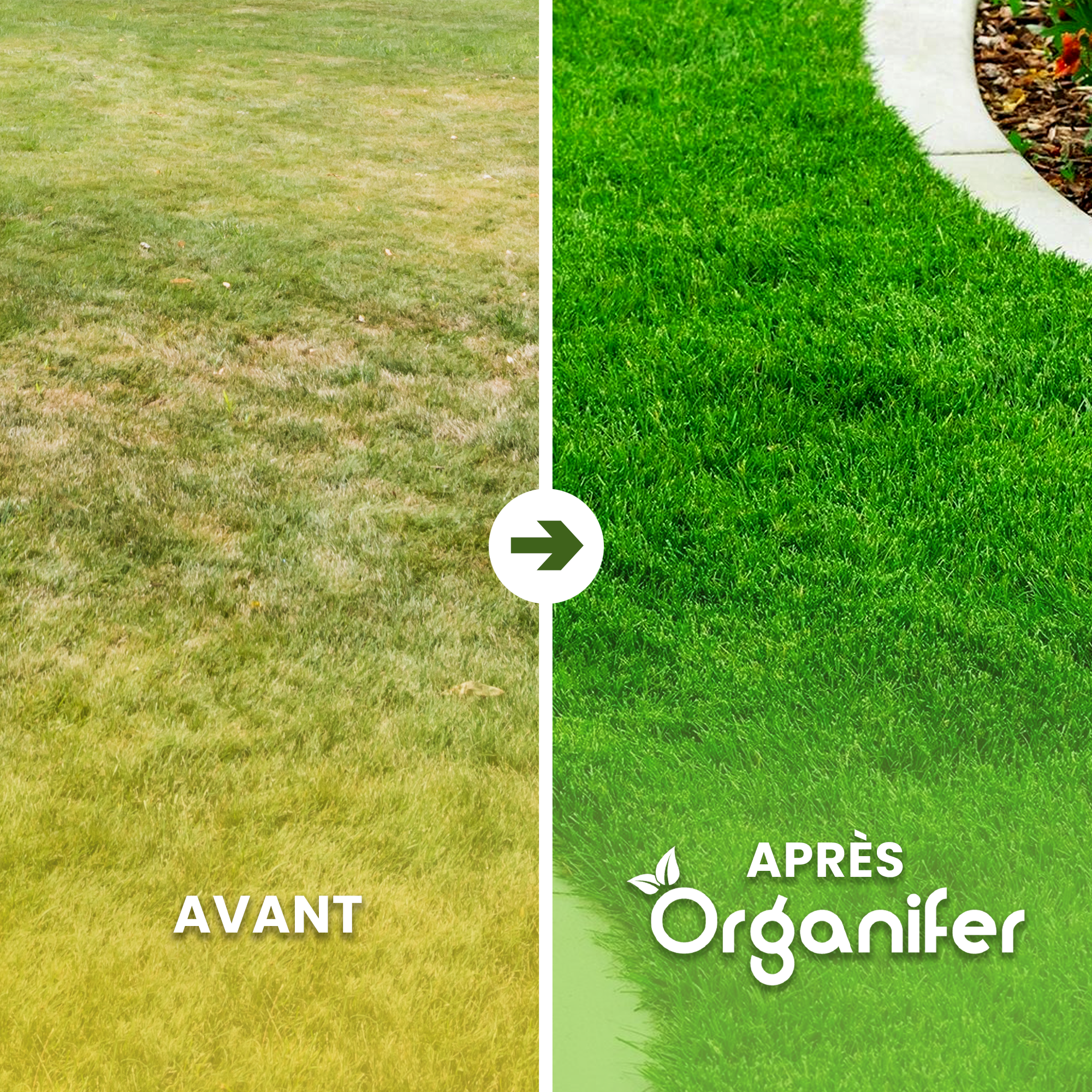 Engrais Calcaire Avec Magnésium - 20 Kg Pour 400 M2 - Organifer - 2