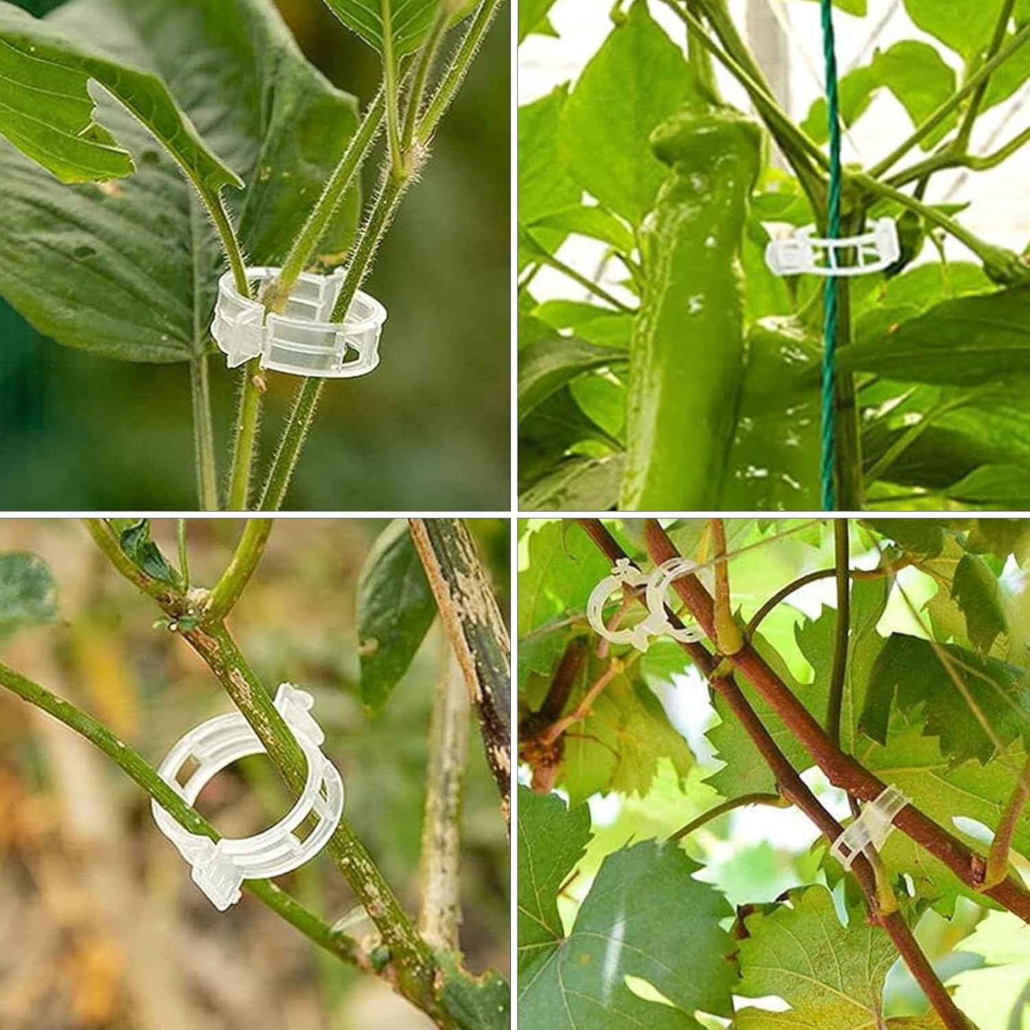 Lot de 250 clips de sécurité pour plantes, pour soutenir tomates et tiges de légumes dans votre jardin ou serre - 5