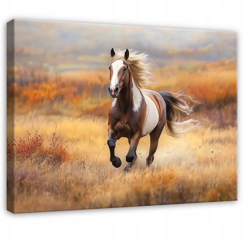 Zdjęcia - Obraz na płótnie ścianę Koń Zwierzęta Natura 60x40 cm Dekoracja Ścienna do Sypialni Salonu