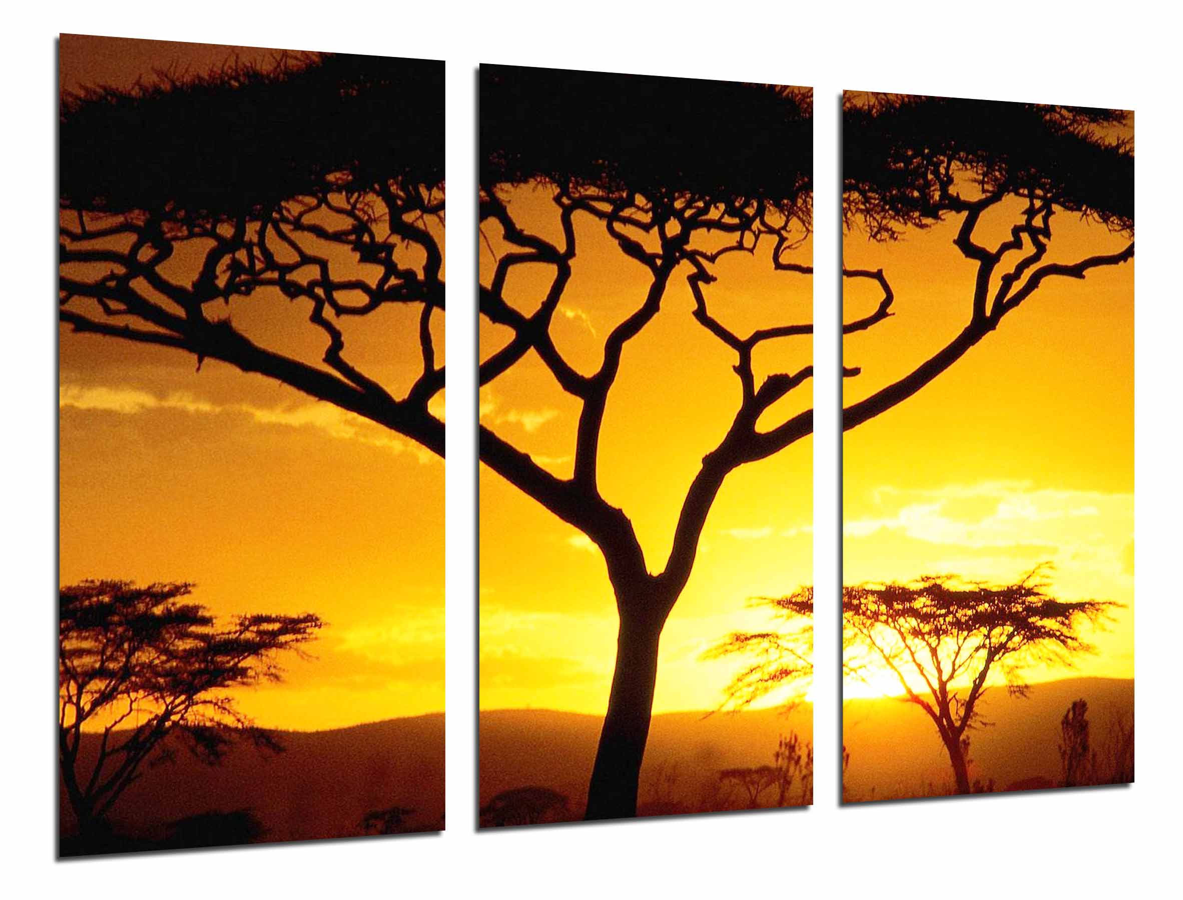Arbol africano atardecer, naturaleza, impresión fotográfica sobre madera, cuadro moderno decorativo