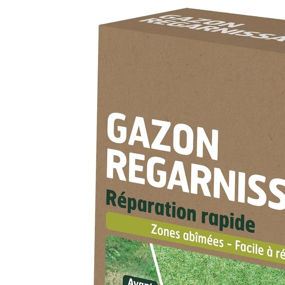 Gazon regarnissage 1kg caillard - 2