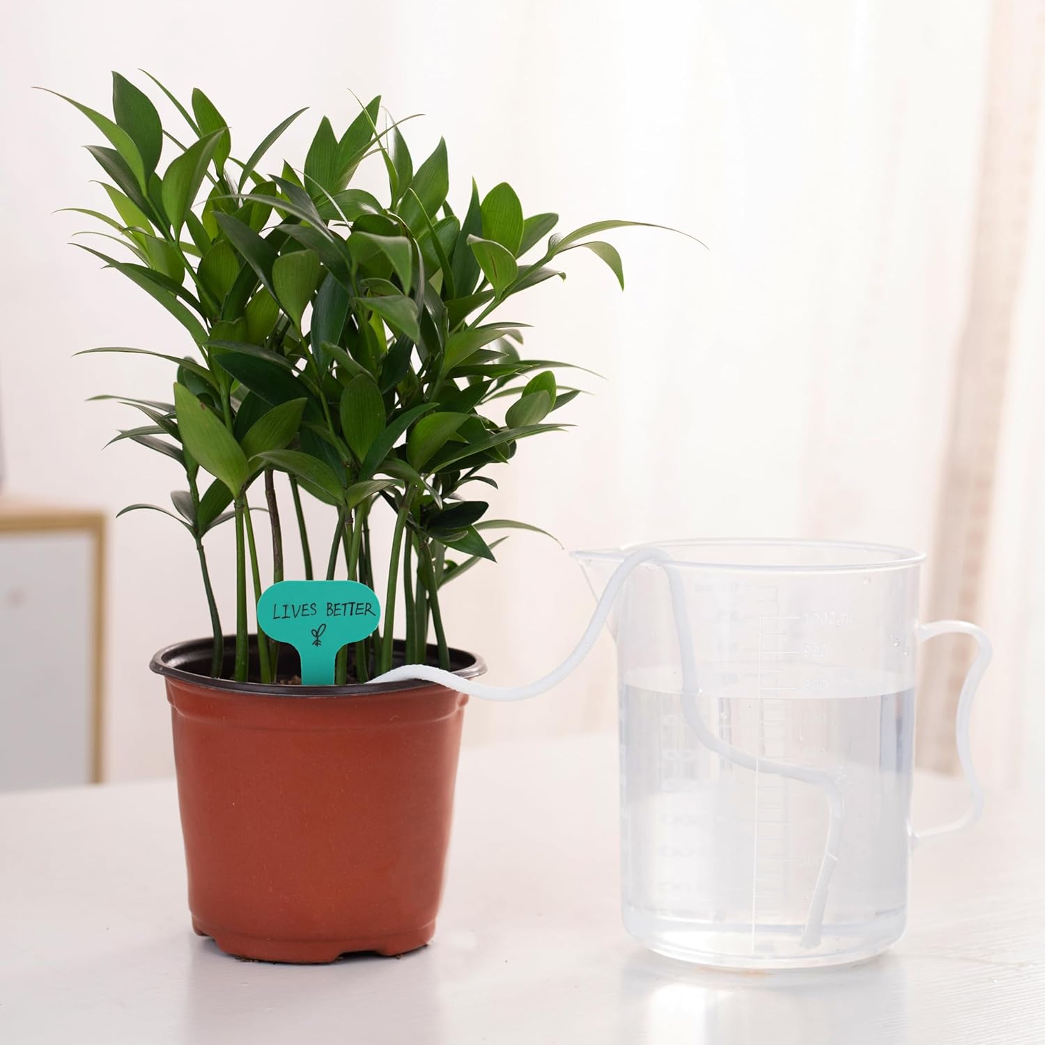 Cordon à mèche pour arrosage automatique des plantes – Mèche pour système d'arrosage DIY – Corde d'arrosage en coton – (2 rouleaux – 18 m) - 8