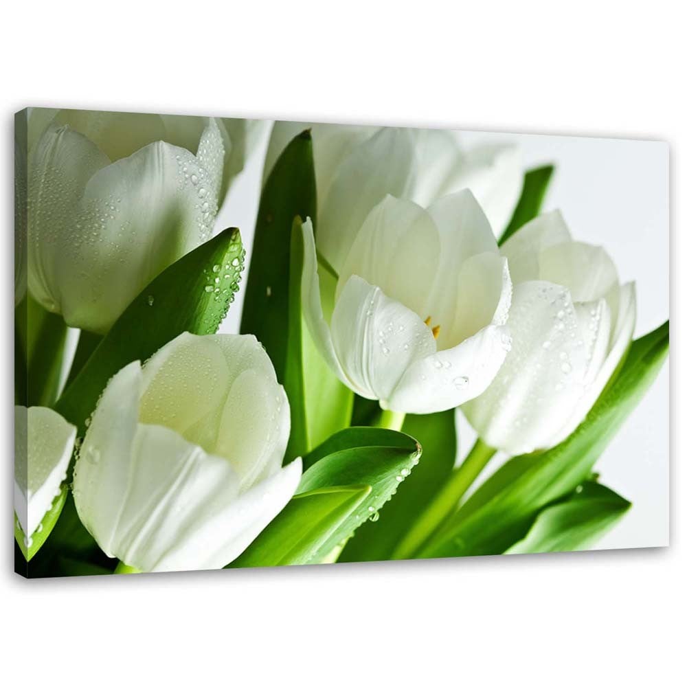 Obraz, Białe tulipany 90x60