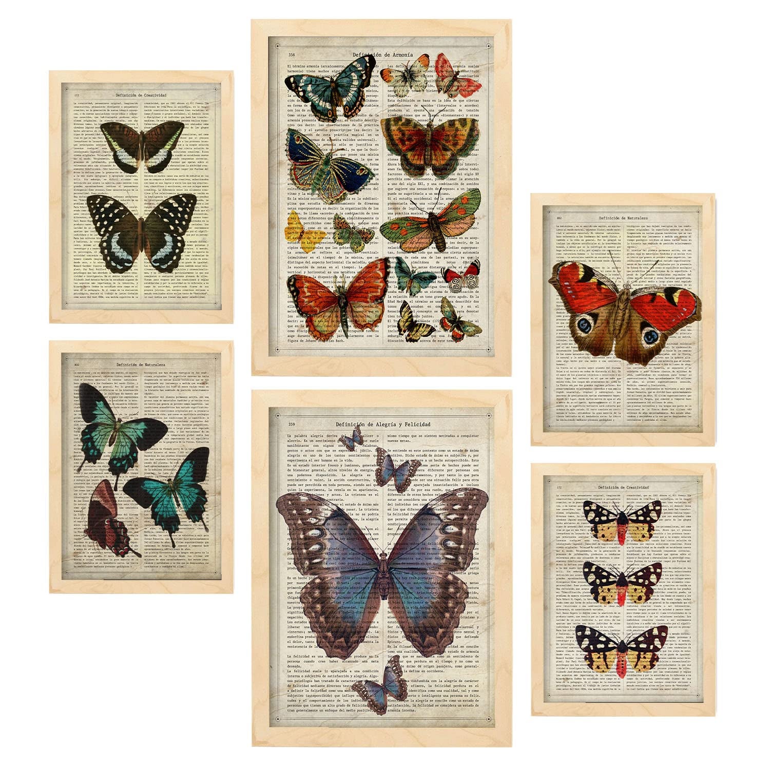 Nacnic posters de posters de mariposas ilustraciones estilo enciclopedia vintage con hermosas mariposas coloridas para la a4 & a3 marcos color madera