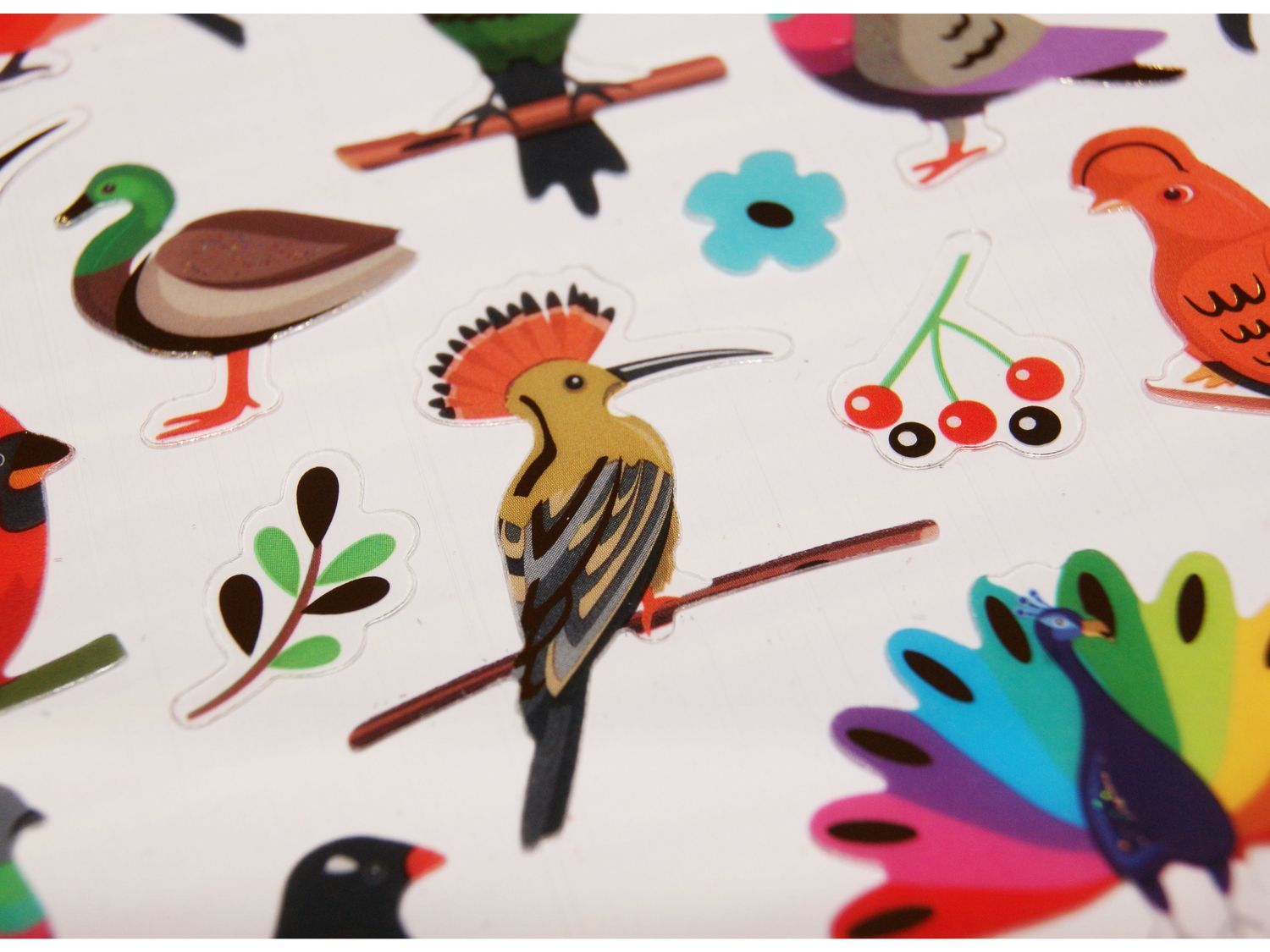 ensemble d'oiseaux exotiques isolés. oiseaux tropicaux pour les arrière