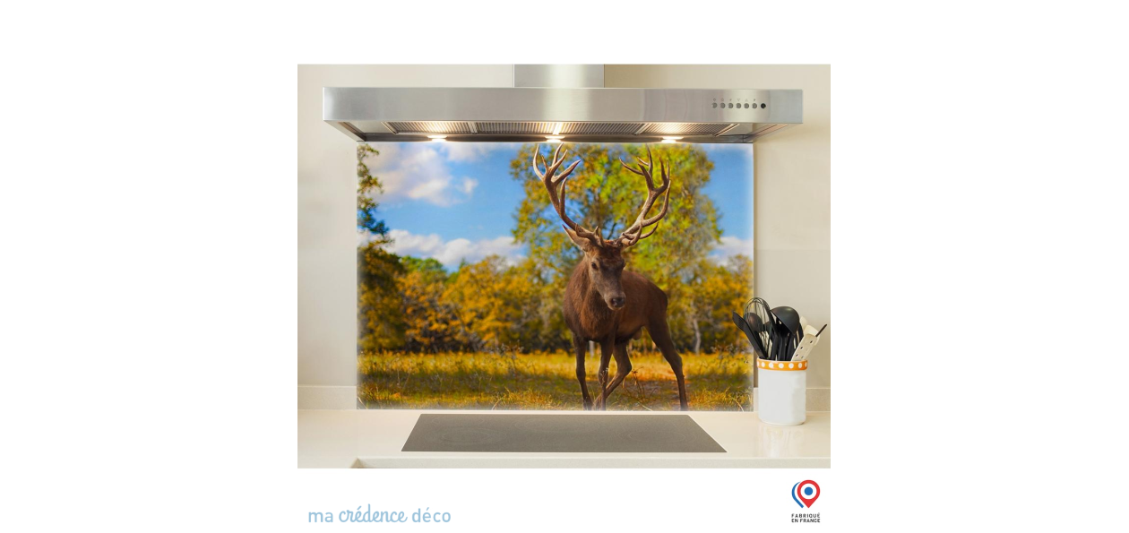 Fond de hotte Jeune cerf - Verre trempé - L 90 cm x H 90 cm | Leroy Merlin
