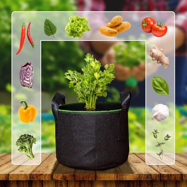 INIFLM 4 Pezzi Sacchetti per Coltivazione di Piante, Contenitori per Coltivazione di Piante in Non Tessuto, Sacco per Piante Ispessito Resistente con Manici, Sacchetti per Fioriera per(5 galloni INIFLM 4 Pezzi Sacchetti per Coltivazione di Piante, Contenitori per Coltivazione di Piante in Non Tessuto, Sacco per Piante Ispessito Resistente con Manici, Sacchetti per Fioriera per(5 galloni